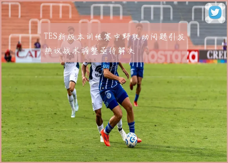 TES新版本训练赛中野联动问题引发热议战术调整亟待解决